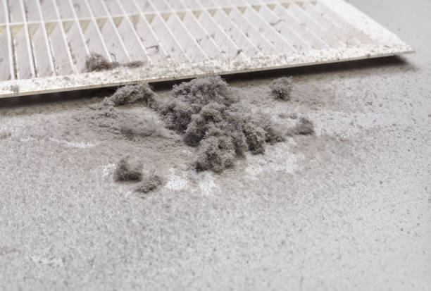 Best Home Air Vent Cleaning  in Warsaw, IL