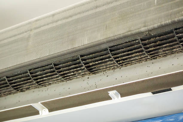 Best Commercial Air Duct Cleaning  in Warsaw, IL